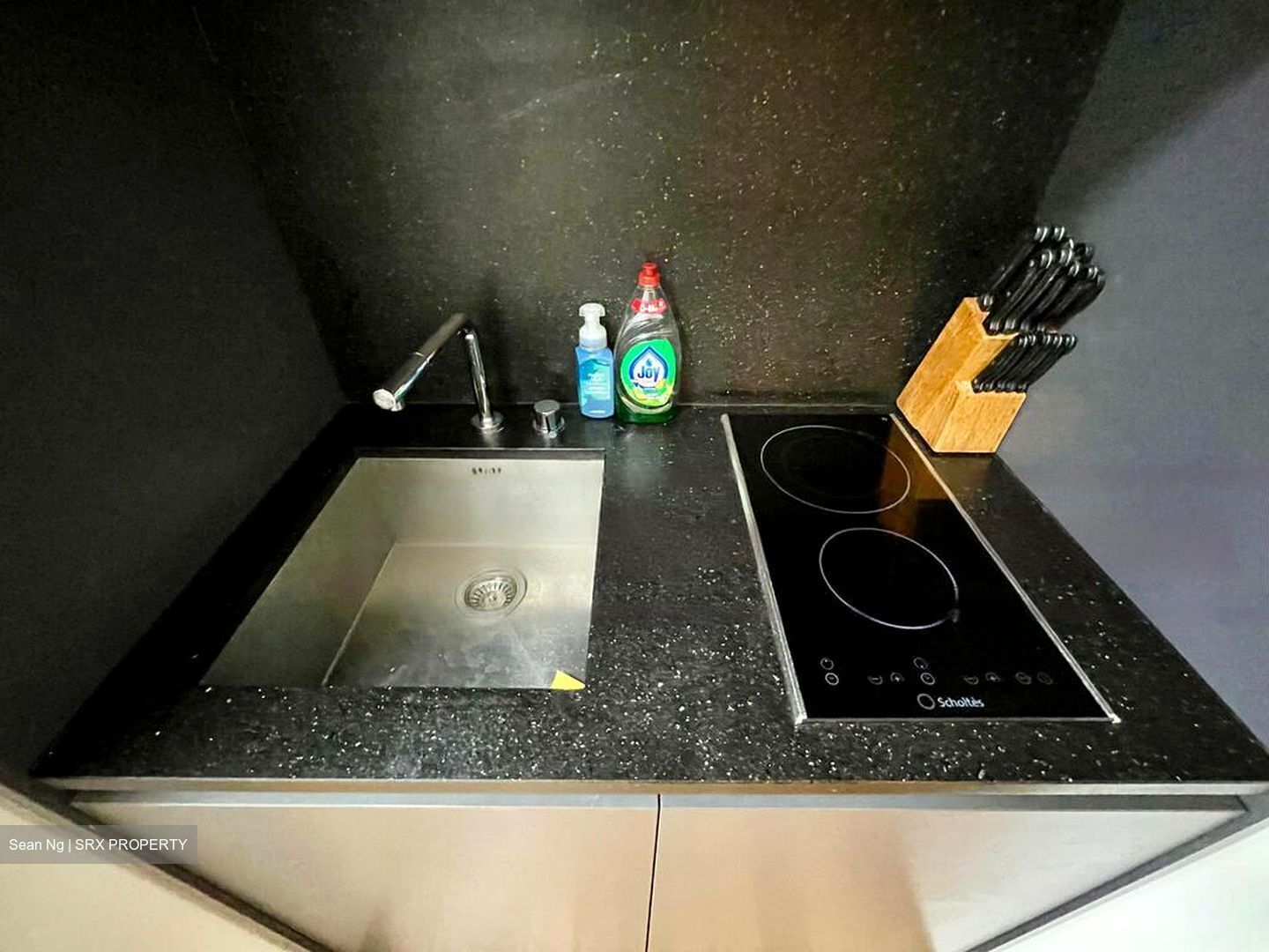 26 Newton (D11), Apartment #468923951
